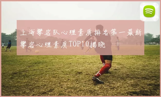 上海攀岩队心理素质排名第一最新攀岩心理素质TOP10揭晓