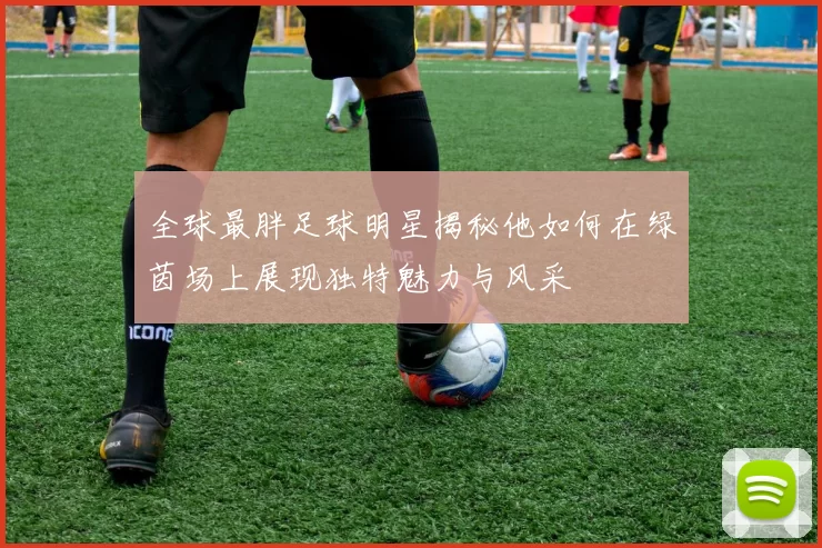 全球最胖足球明星揭秘他如何在绿茵场上展现独特魅力与风采