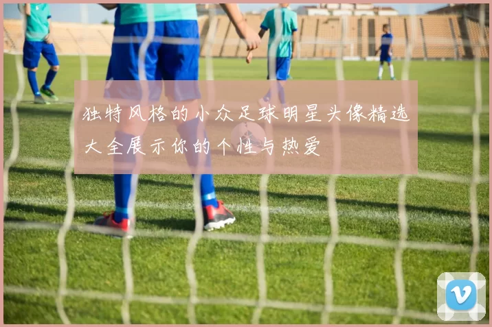 独特风格的小众足球明星头像精选大全展示你的个性与热爱