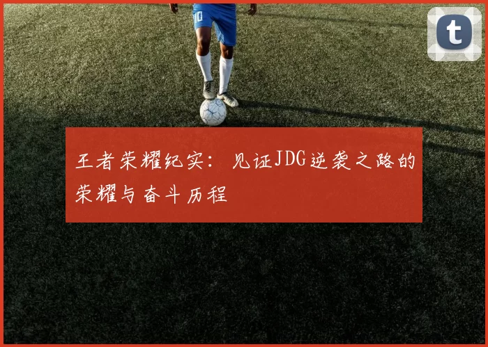 王者荣耀纪实：见证JDG逆袭之路的荣耀与奋斗历程