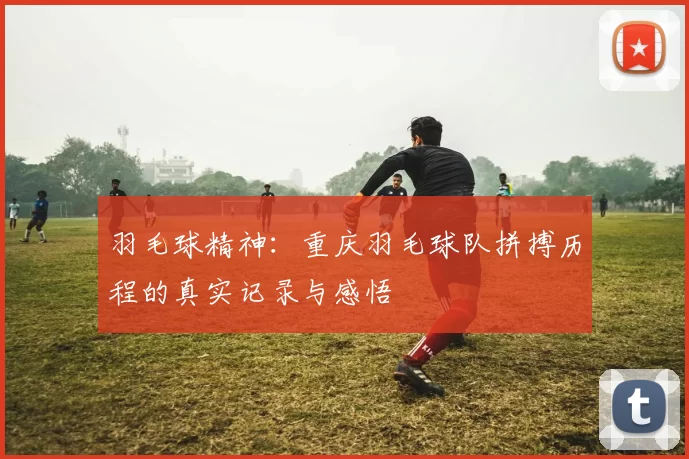 羽毛球精神：重庆羽毛球队拼搏历程的真实记录与感悟