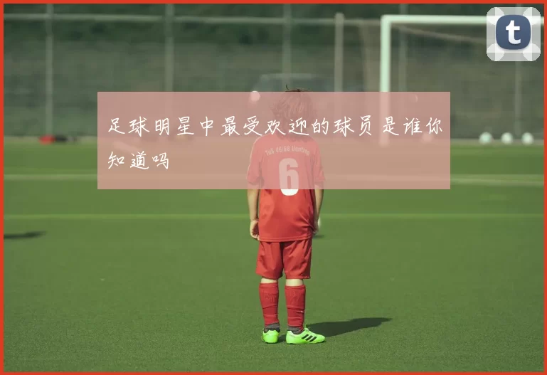 足球明星中最受欢迎的球员是谁你知道吗