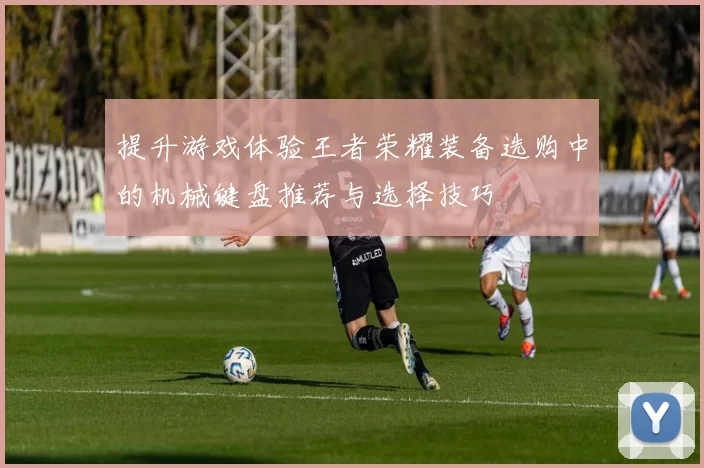 提升游戏体验王者荣耀装备选购中的机械键盘推荐与选择技巧
