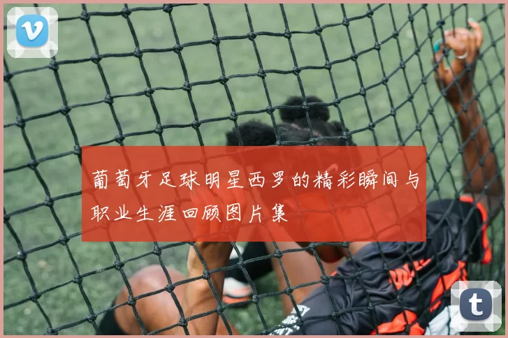 葡萄牙足球明星西罗的精彩瞬间与职业生涯回顾图片集