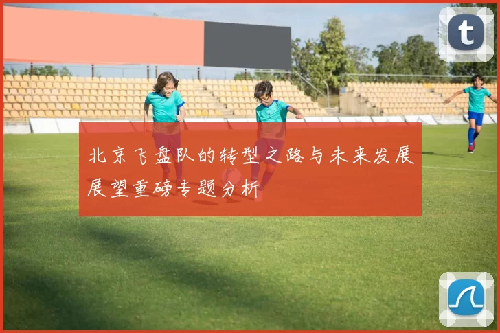 北京飞盘队的转型之路与未来发展展望重磅专题分析