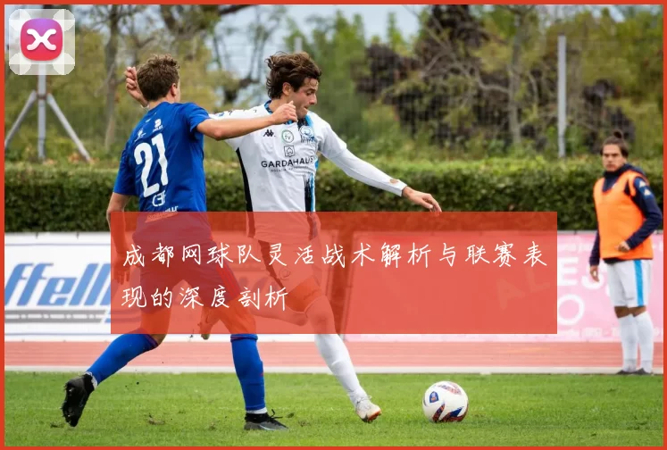 成都网球队灵活战术解析与联赛表现的深度剖析