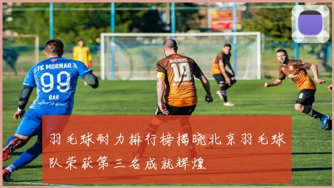 羽毛球耐力排行榜揭晓北京羽毛球队荣获第三名成就辉煌
