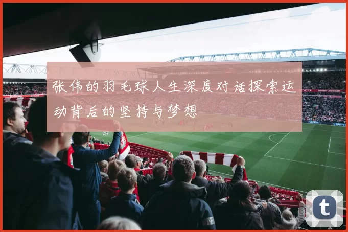 张伟的羽毛球人生深度对话探索运动背后的坚持与梦想